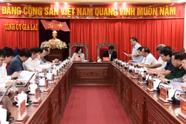 Trưởng ban Tổ chức Trung ương Trương Thị Mai làm việc với Ban Thường vụ Tỉnh ủy Gia Lai