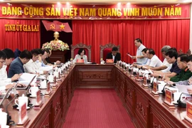 Trưởng ban Tổ chức Trung ương Trương Thị Mai làm việc với Ban Thường vụ Tỉnh ủy Gia Lai