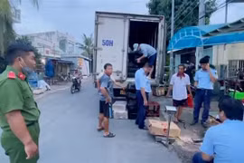 Bắt xe tải chở gần 8 tấn thịt trâu, bò đông lạnh nghi nhập lậu