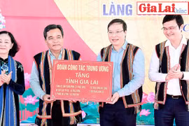 Trưởng ban Tổ chức Trung ương Trương Thị Mai dự Ngày hội đại đoàn kết tại làng Wâu