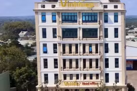 Công ty TNHH Vĩnh Hiệp xin cứu xét vì không liên quan đến vụ án Vạn Thịnh Phát