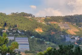 Lâm Đồng đưa 59.000 ha đất rừng ra khỏi quy hoạch