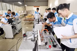 Yêu cầu Bộ Giáo dục và Đào tạo ban hành hướng dẫn về giảng dạy văn hóa tại trường nghệ thuật, trường nghề trước ngày 20-11