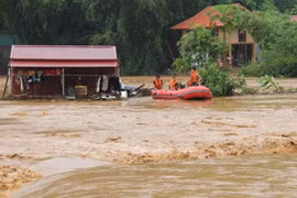 Triển khai các biện pháp sớm khôi phục sản xuất, khắc phục hiệu quả mưa lũ tại các tỉnh miền Trung và Tây Nguyên