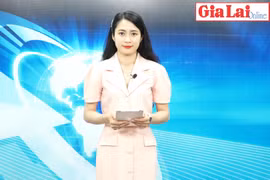 Gia Lai 48h: Nâng cao trách nhiệm của người đứng đầu về phát triển lâm nghiệp bền vững