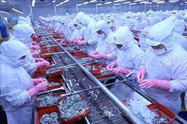 Xuất khẩu thủy sản Việt Nam sẽ cán mốc 11 tỷ USD