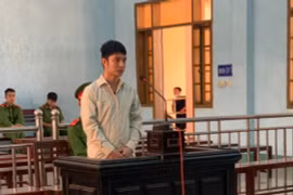 Lãnh án 10 năm tù vì tội lừa đảo chiếm đoạt tài sản và làm giả tài liệu của cơ quan, tổ chức