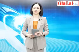 Gia Lai 48h: Chủ tịch UBND tỉnh Trương Hải Long tiếp và làm việc với Tổng Giám đốc điều hành tổ chức UNICEF