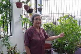 Nhân hậu với người, bình thản với đời