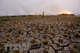 Châu Phi có nguy cơ thiệt hại hàng năm 415 tỷ USD do thiên tai