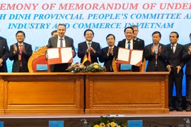 Bình Định ký hợp tác đầu tư dự án điện gió hơn 4,6 tỉ USD