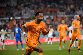 Kết quả World Cup 2022: Hà Lan thắng nhọc, Bale 'giải cứu' Xứ Wales