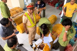 Quảng Nam: Phát hiện vụ vận chuyển gỗ trắc quy mô lớn không rõ nguồn gốc