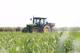 Liên kết chuỗi trong ngành Mía đường: Cần có sự chặt chẽ