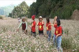 Lượng khách du lịch nội địa tăng mạnh trong năm 2022, nhưng chi tiêu vẫn thấp