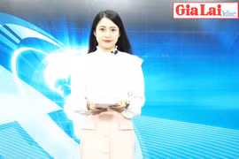 Gia Lai 48h: Chư Sê: Nhiều tập thể, cá nhân bị kiểm điểm vì để xảy ra sai phạm trong quản lý, sử dụng ngân sách