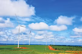 Gia Lai ban hành kế hoạch phát triển kinh tế tuần hoàn