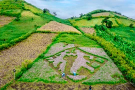 Tạo điều kiện cho nông dân Chư Đang Ya làm du lịch