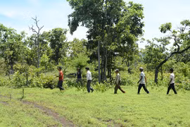 Bộ Nông nghiệp và PTNT trả lời cử tri Gia Lai về việc thực hiện Đề án tăng cường công tác quản lý khai thác gỗ rừng tự nhiên