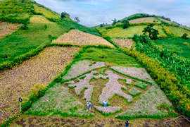 Tạo điều kiện cho nông dân Chư Đang Ya làm du lịch