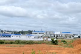 Lâm Đồng thu hút được 98 dự án FDI với số vốn đầu tư hơn 12.500 tỉ đồng