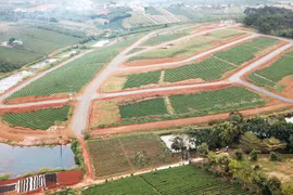 Lâm Đồng: Không hợp thức hóa các sai phạm khi xử lý chồng chéo quy hoạch  