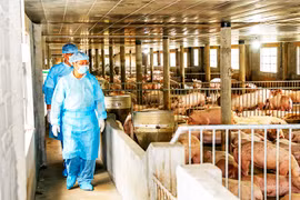 Gia Lai tăng cường công tác phòng-chống dịch bệnh động vật