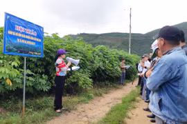 Đak Pơ: Hội thảo đầu bờ đánh giá mô hình khảo nghiệm giống sắn mới HN3, HN5