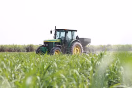 Thành Thành Công Gia Lai hướng đến vụ sản xuất thành công