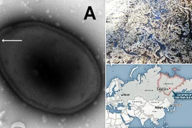 Hồi sinh virus cổ đại 48.500 năm tuổi