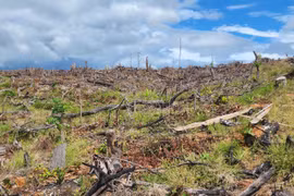 Khởi tố vụ phá 6 ha rừng làm rẫy tại xã Đak Kơ Ning