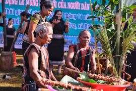 Tái hiện lễ Mừng lúa mới của người Bahnar ở làng Tul Đoa