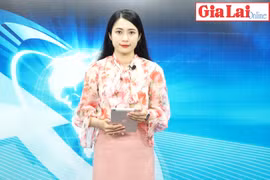 Gia Lai 48h: Thứ trưởng Bộ Công thương đánh giá cao việc phát triển năng lượng tái tạo tại Gia Lai