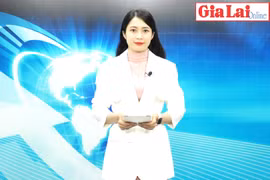 Gia Lai 48h: Nỗ lực hoàn thành các chỉ tiêu phát triển kinh tế-xã hội