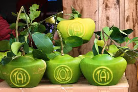 Bưởi hình thỏi vàng có chữ Tài - Lộc giá 1 triệu đồng mỗi cặp