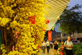 Đường phố Sài Gòn trang hoàng đón Tết Mậu Tuất