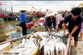 Nhộn nhịp làng biển Quảng Bình