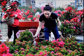 Bến Bình Đông những ngày cận Tết