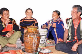 Men say của rừng