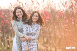 Bạn trẻ thủ đô xúng xính tạo dáng bên đào Nhật Tân