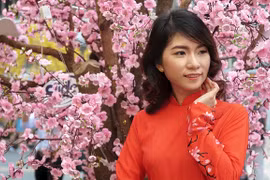 Người Sài Gòn diện váy áo chụp ảnh với mai, đào giả