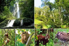 Từ Bạch Mã đến Kon Ka Kinh