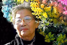 Sắc màu tình quê của Nguyễn Thị Tâm