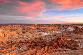 Phát hiện sự sống trên sa mạc có điều kiện tương tự trên Sao Hỏa