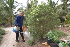 Hi hữu cụ ông sáng mắt, hết câm sau 20 năm bất hạnh