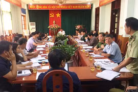 Phát hiện gần 11.200 vụ gian lận thương mại và hàng giả