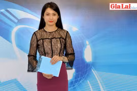 Gia Lai 48h: Thông báo việc tổ chức văn nghệ, vui chơi Tết Nguyên đán