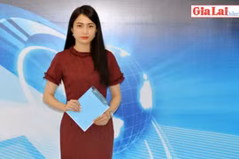 Gia Lai 48h: Kiên quyết xử lý sai phạm trong hoạt động vận tải