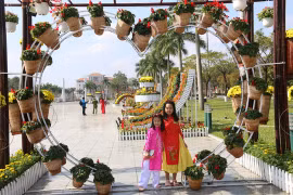 Khoác áo hoa ngày Tết, quảng trường Tam Kỳ đẹp lộng lẫy