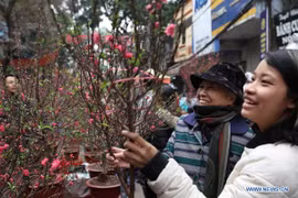 Không khí Tết tràn ngập đường phố ở Việt Nam lên báo nước ngoài